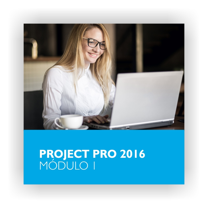 Project Pro 1